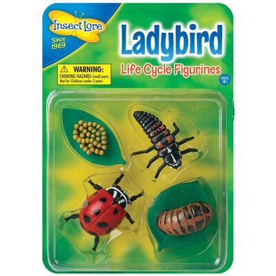 Ladybird Life Cycle Figurines