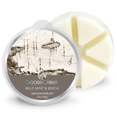 Wild Mint & Birch Goose Creek Candle® Wachsschmelze. 59 Gramm