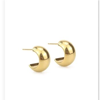 Gold Bean Stud Earrings 4
