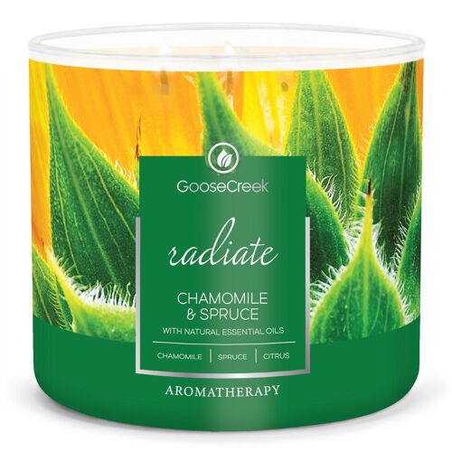 Chamomile & Spruce Goose Creek Candle® 411 grams