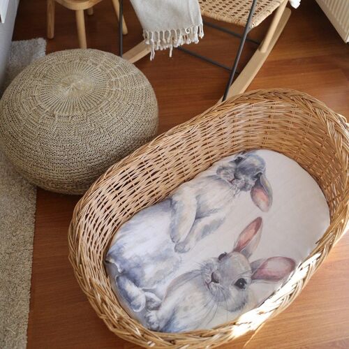 Organic Bunny Rabbit Baby Gift Set
