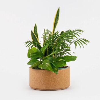 Vaso para plantas intérieur - Jumbo 1