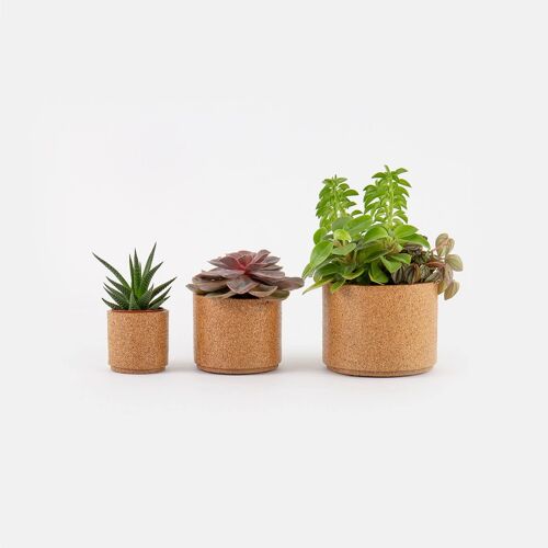 Vaso para plantas interior - M