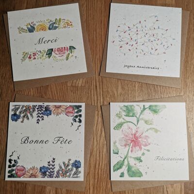 Seeded Card Pack (4x5) - Mixed Theme