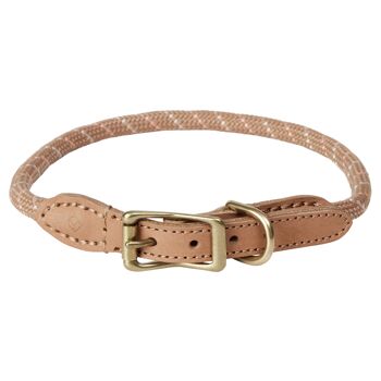 Collier pour chien Perry - Très grand 3