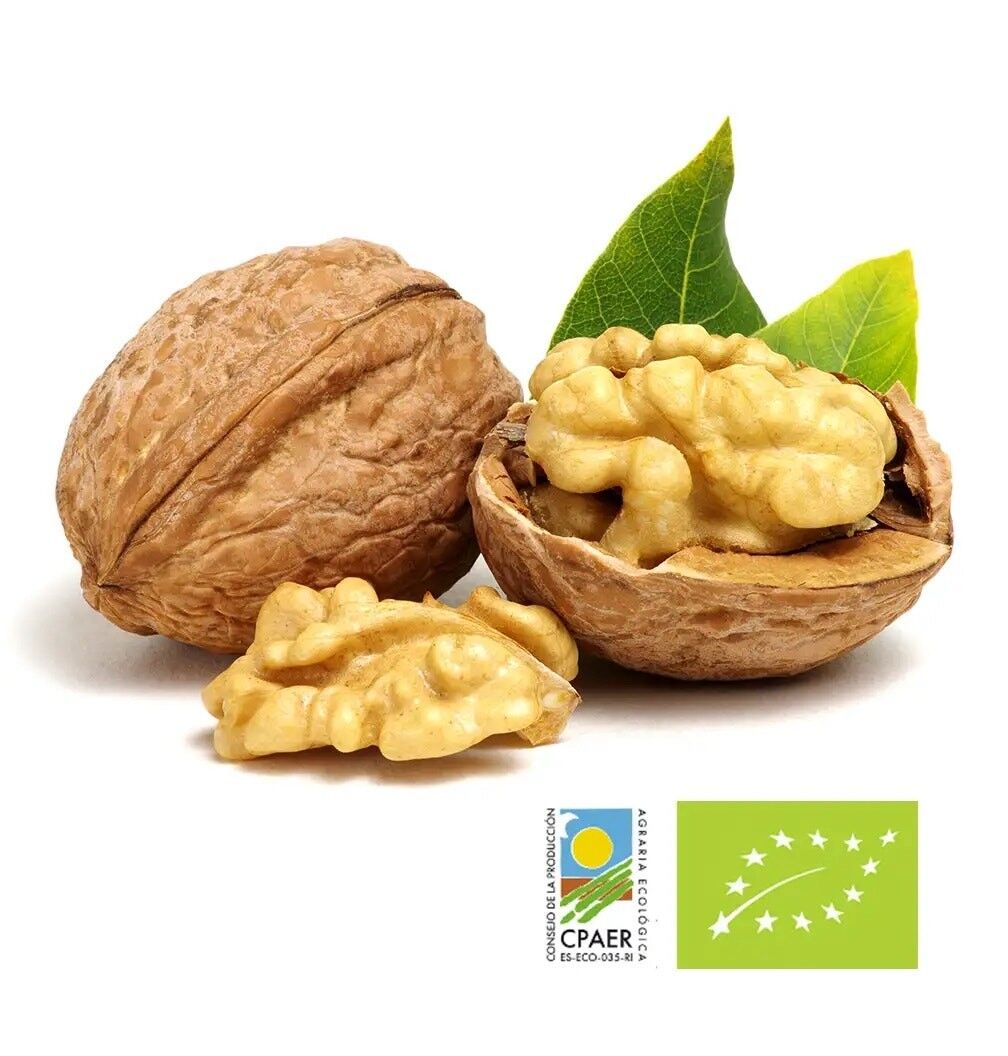 ECO SCHALE NUSSBAUM 28-32 mm