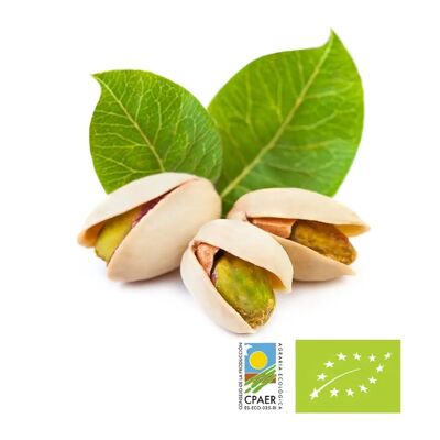 GUSCIO DI PISTACCHIO NATURALE ECOLOGICO