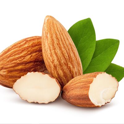 ALMOND SHELL