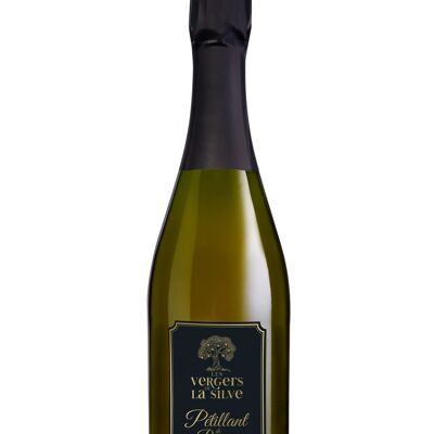 Espumoso manzana 0% alcohol Prestige 75cl FRUTAL