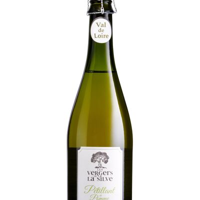 Sparkling apple 0% Terroir alcohol 75cl SWEET