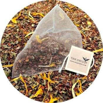 Rooibos Choco Menthe - 50 Pyramides Recharges 2