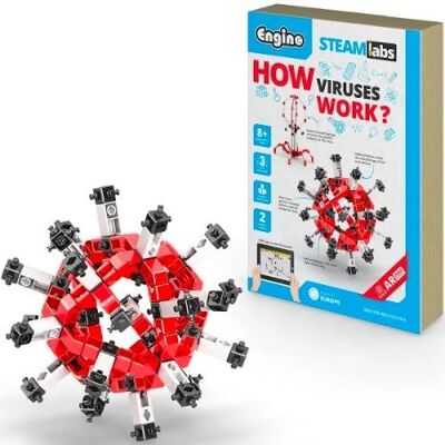 STEM LABS - ¿Cómo funcionan los virus?
