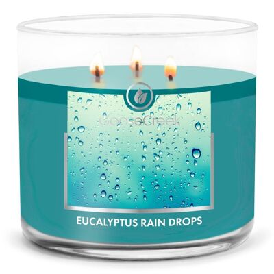 Gocce di pioggia all'eucalipto Goose Creek Candle® 411 grammi