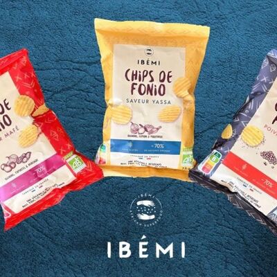 Charge von Bio-Fonio-Chips von Ibémi