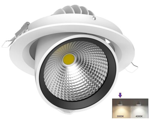 LED Gimbal Downlight 35w 3500lm White 3000K