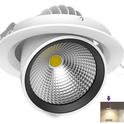 Downlight à cardan LED 35w 3500lm Blanc 3000K