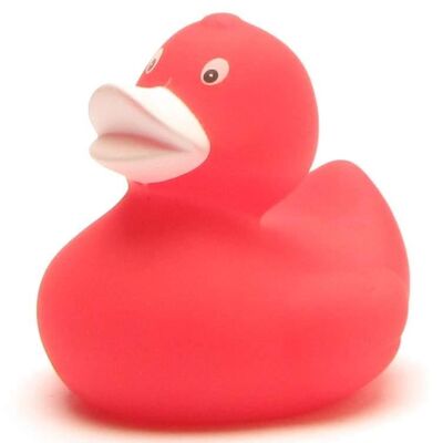 Rubber duck - red rubber duck