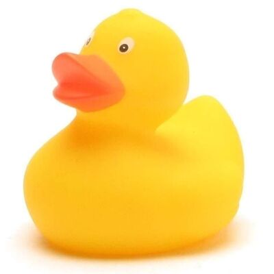 Rubber duck - yellow rubber duck