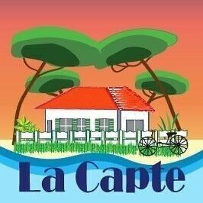 HOUSEHOLD SPONGE CCA124-LA CAPTE VILLAGE