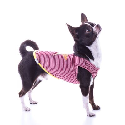 Groc Groc Willy Star Marine T-shirt pour chien