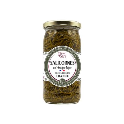 Salicornia In Vinegar - Raoul Gey - 37cl