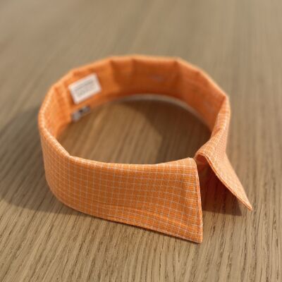 Interchangeable orange collar with small checks