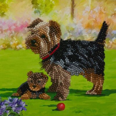 Cani, 18x18cm Crystal Art Card