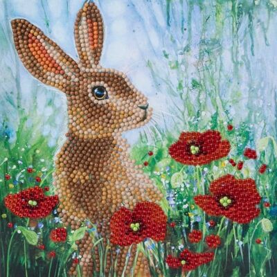 Wilde Mohnblumen und der Hase 18 x 18 cm Kristallkunstkarte