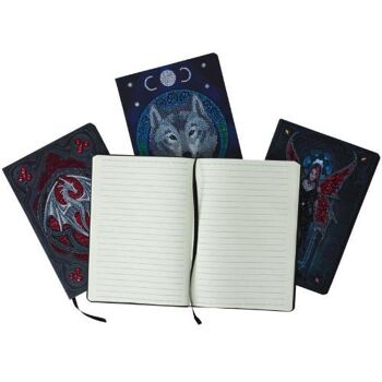 Valor Alter Drake, carnet d'art en cristal 4