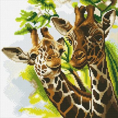 Giraffe amichevoli, kit artistico in cristallo 30x30 cm