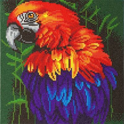 Uccello tropicale, kit artistico in cristallo 30x30 cm