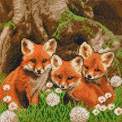 Fox Cubs, kit de arte de cristal de 30x30 cm