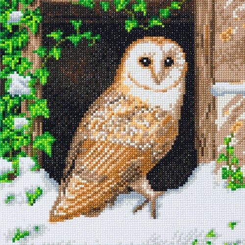 Snowy Owl, 30x30cm Crystal Art Kit
