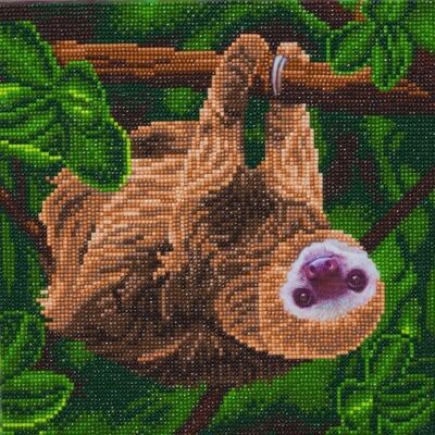 Two Toed Sloth, 30x30cm Crystal Art Kit