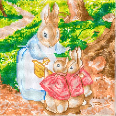 The Flopsy Bunnies 30x30m Crystal Art Canvas Kit