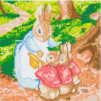 Kit toile cristal 30x30m The Flopsy Bunnies