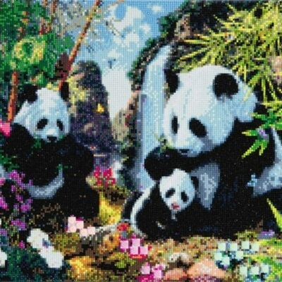 Panda Valley, kit artistico in cristallo 40x50 cm