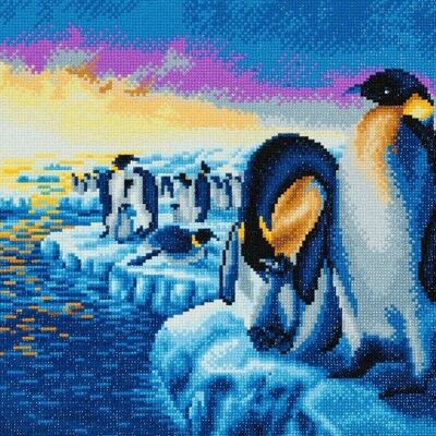 Pingüinos del Ártico, 40x50cm Crystal Art Kit