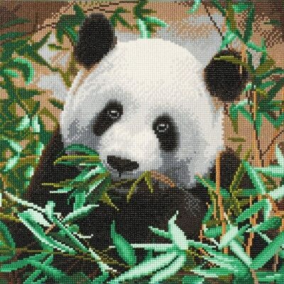 Hungry Panda, 40x50cm Crystal Art Kit