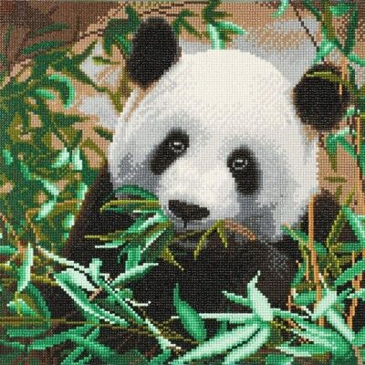 Panda hambriento, kit de arte de cristal de 40x50 cm