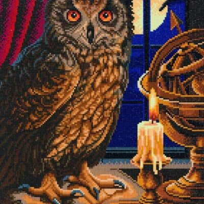 The Astrologer Owl, 40x50cm Crystal Art Kit