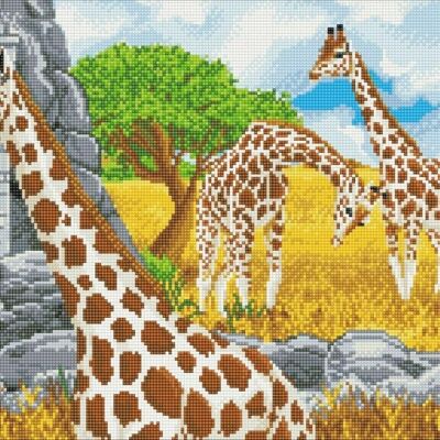 Girafes broutant, kit d'art en cristal 40x50cm