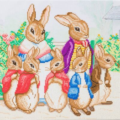 Kit toile d'art en cristal 40x50m Peter Rabbit et sa famille