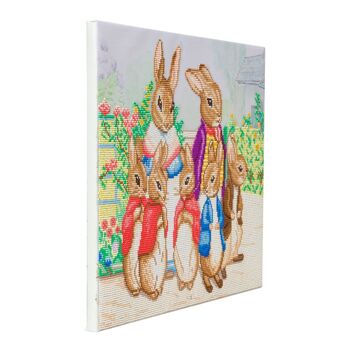 Kit toile d'art en cristal 40x50m Peter Rabbit et sa famille 3