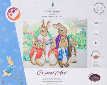 Kit toile d'art en cristal 40x50m Peter Rabbit et sa famille 4