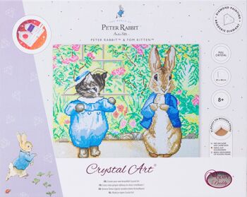Kit Toile Cristal Peter Rabbit et Tom Kitten 40x50m 3