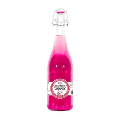 Pomegranate Lemonade - Raoul Gey - 75cl