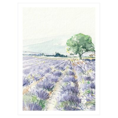 Poster "Lavendel"