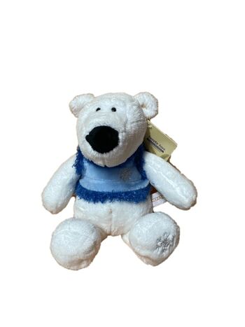 Sweety Toys ours polaire ours en peluche 25 cm avec gilet bleu et vert assortis 2