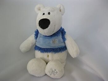 Sweety Toys ours polaire ours en peluche 25 cm avec gilet bleu et vert assortis 5